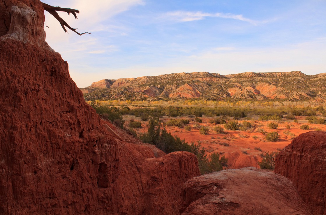 Palo Duro - Houston